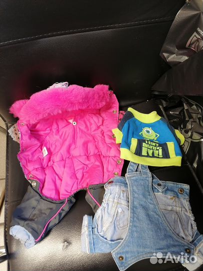 Одежда для маленьких собак