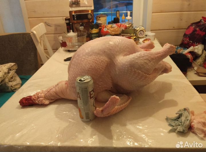 Мясо домашней индейки