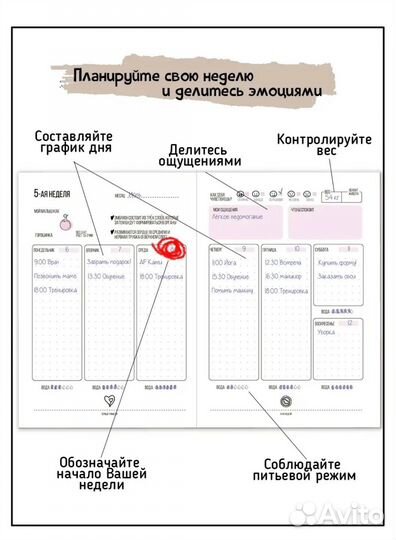 Дневник беременности