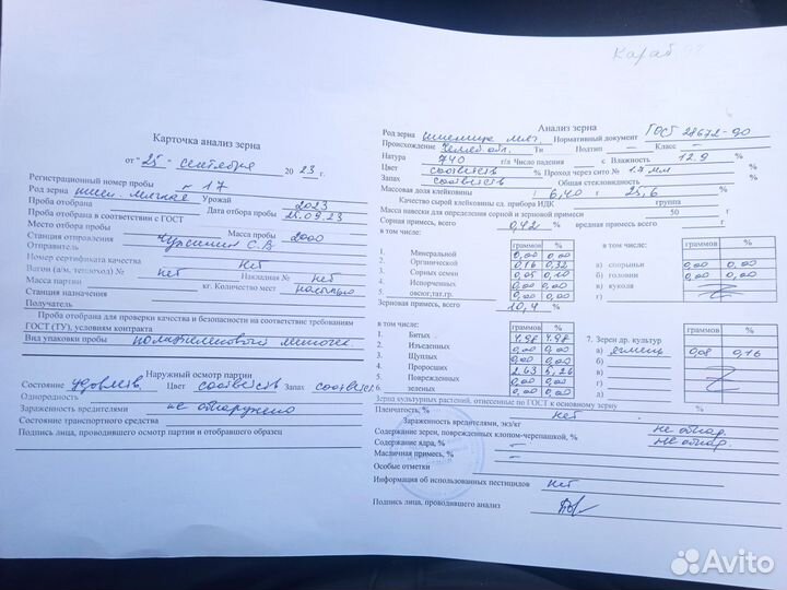 Пшеница фураж сухая