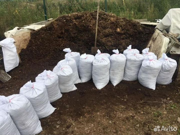 Перегной коровяк. Коровий навоз