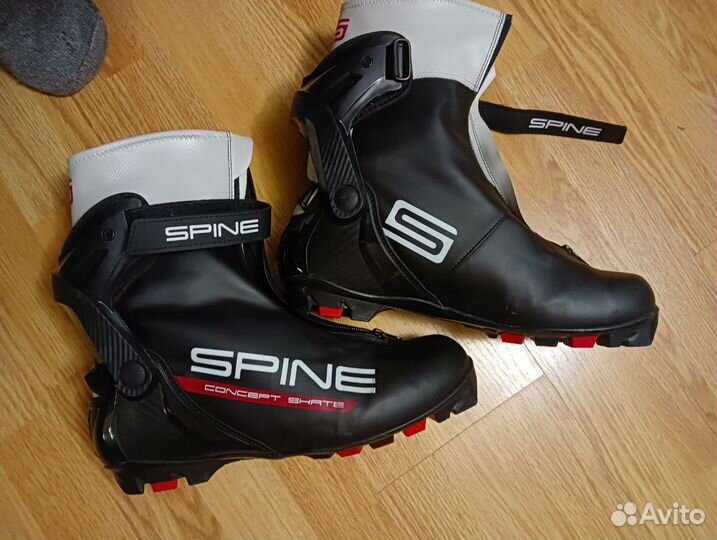 Spine concept skate 46