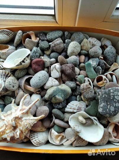 Ракушка и камень для аквариума