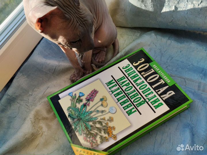 Энциклопедия народной медицины И Куреннов