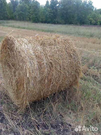 Продам солому в рулонах