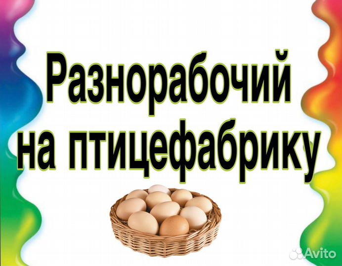 Разнорабочий на перенос кур