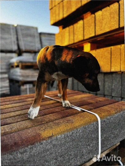 Тротуарная от производителя по ГОСТ от 120 м2