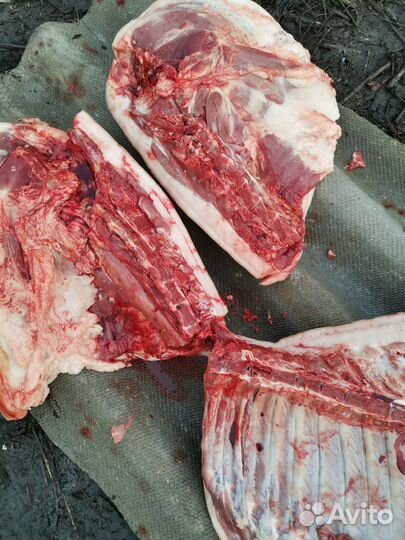 Мясо свинина