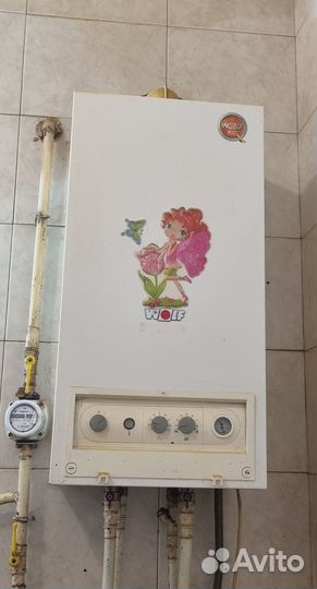 Газовый котел Wolf сgg-1K-24/28