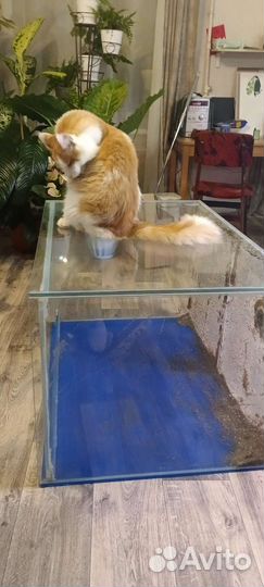 Аквариум 450л