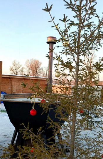 Дом 65 м² на участке 6 сот.