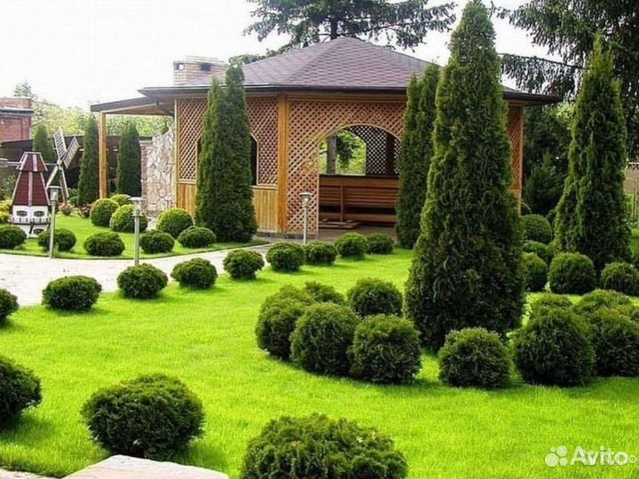 Ландшафтный проект 3 сотки участка \ Проект №800