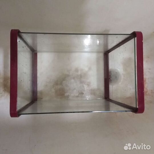 Аквариум из стекла. На 24 литра