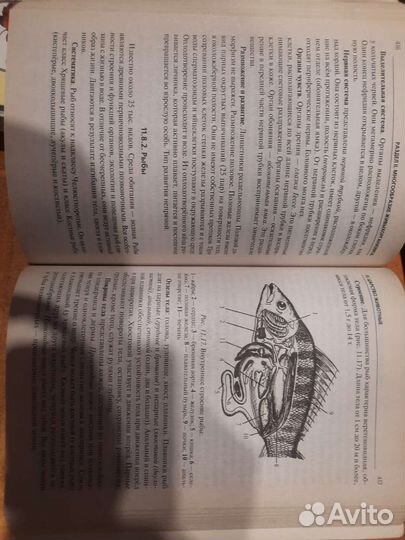 Егэ, учебник и рабочая тетрадь. 2023