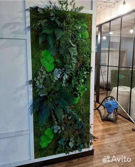 Фитокартина фитостена из мха из растений