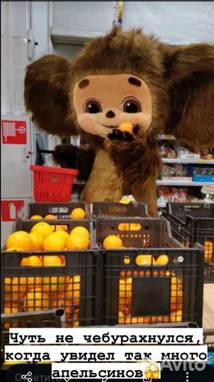 Поздравление.Чебурашка.Выписка.День рождения