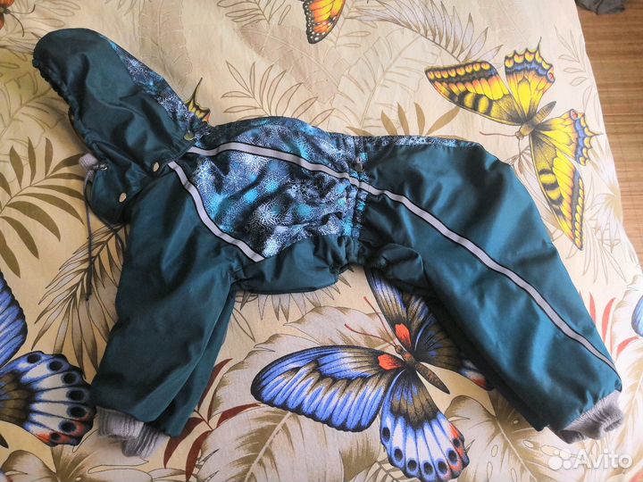 Зимний комбинезон для ксоло