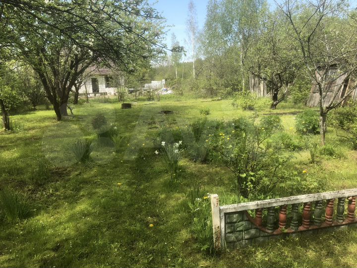 Участок 6,5 сот. (СНТ, ДНП)