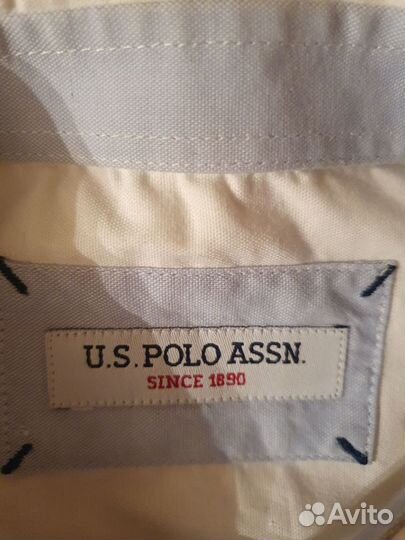 Рубашка US polo assn оригинал M