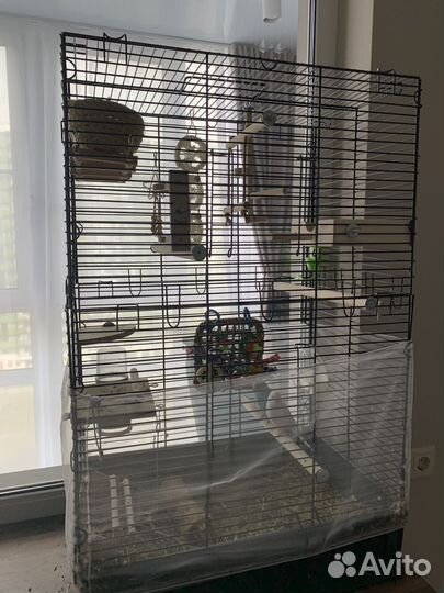 Попугаи волнистики с клеткой малыши