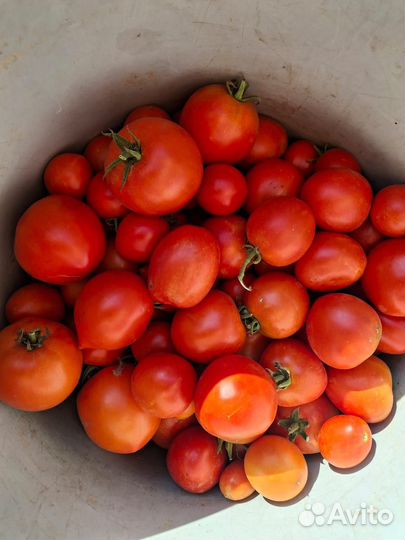 Томат и чеснок