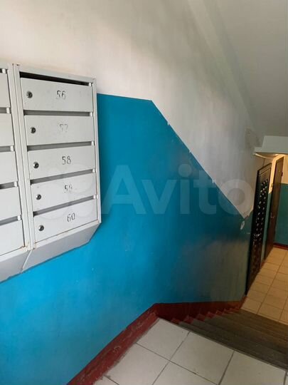 3-к. квартира, 57,3 м², 1/5 эт.