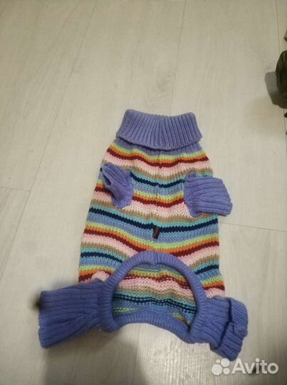 Дождевик для маленькой собаки