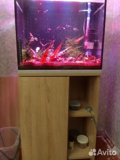 Аквариум