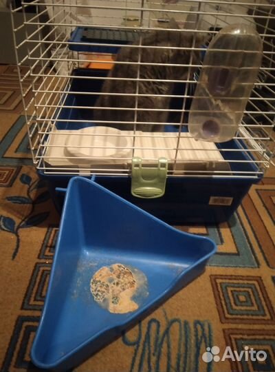 Клетка для декоративного кролика