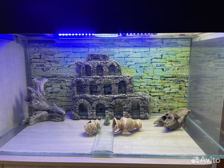 Аквариум