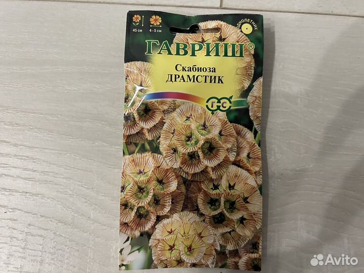 Семена скабиоза драмстик