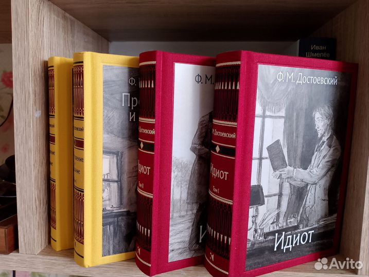 Малая классика речи. Достоевский