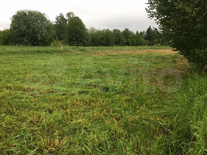 Участок 14,5 сот. (ИЖС)