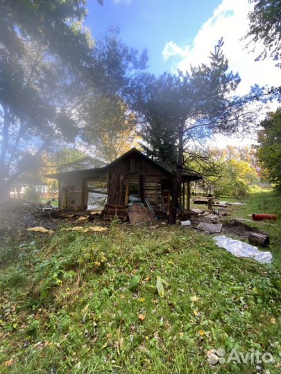 Сруб дома из бревна