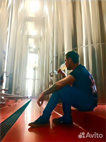 Инженер-технолог (Виноделие)