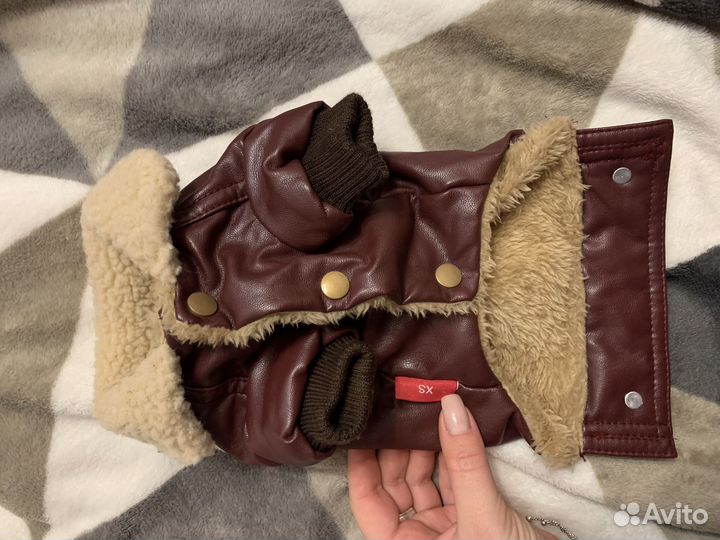 Одежда для маленьких собак xs