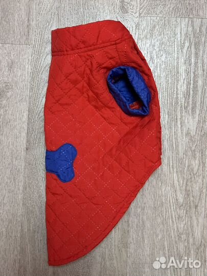 Одежда для маленькой собачки