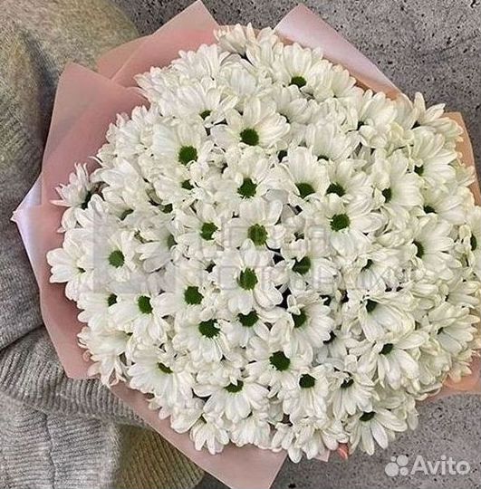 Хризантема Доставка цветов Букеты