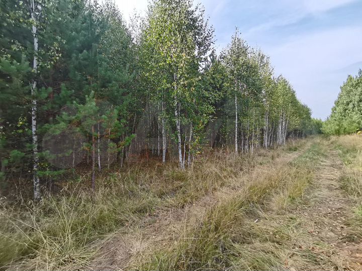 Участок 60 сот. (СНТ, ДНП)