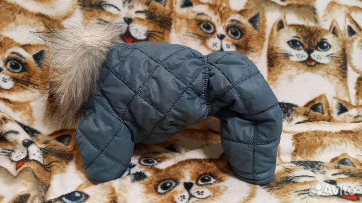 Комбинезон для собаки