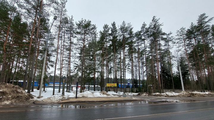 Участок 1,51 га (СНТ, ДНП)