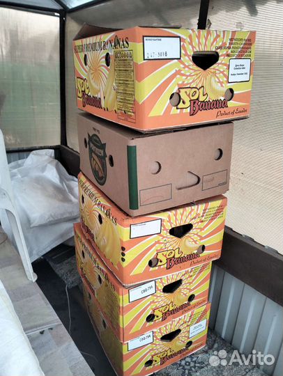 Банановые коробки бу