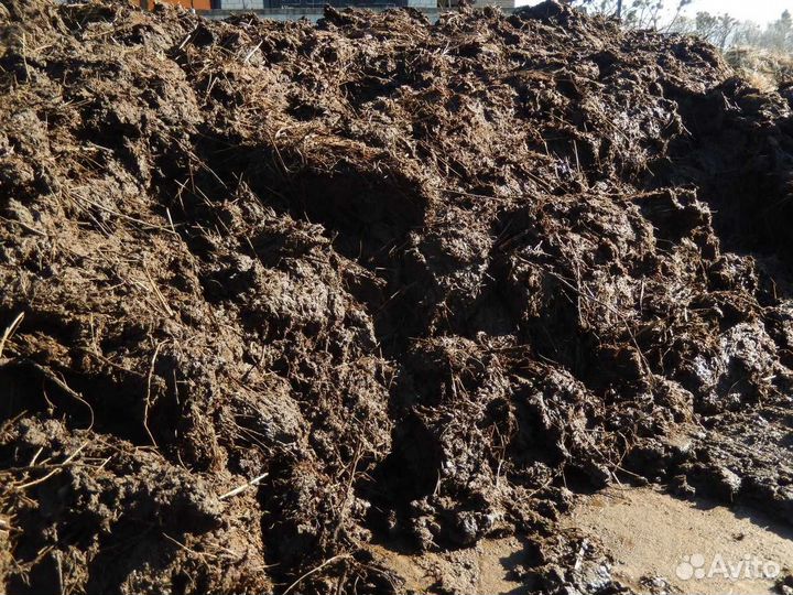 Навоз доставка