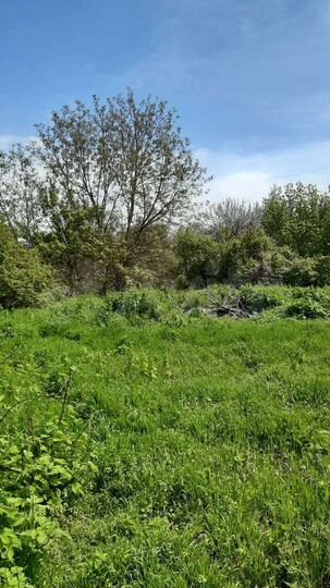 Участок 12 сот. (ИЖС)