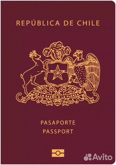 ВНЖ паспорт чили Аргентина испания без посредников
