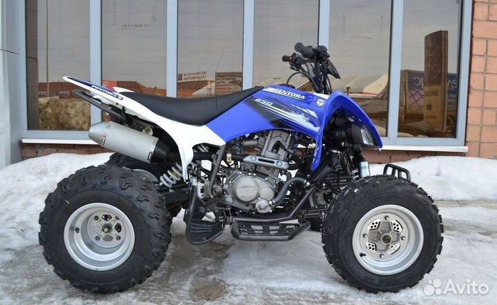 Квадроцикл motoland (мотоленд) 250S