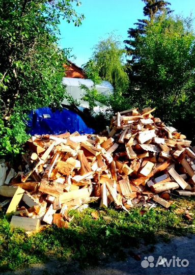 Дрова Береза привезем в Сертолово