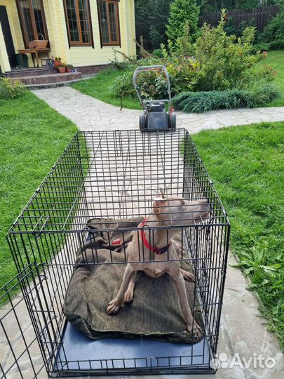 Клетка для большой собаки