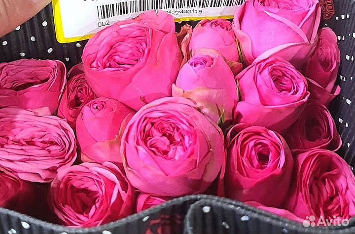 Поставка цветы оптом