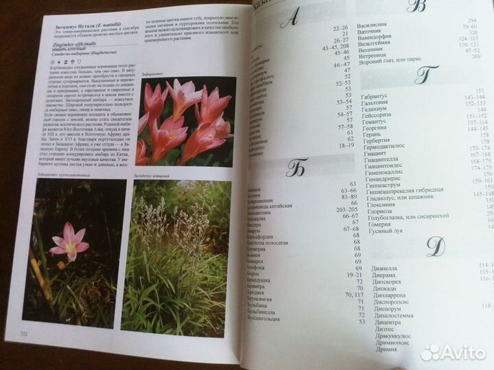 Книга. Энциклопедия луковичных растений